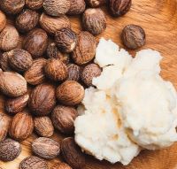 Ingrédient: Beurre De Karite