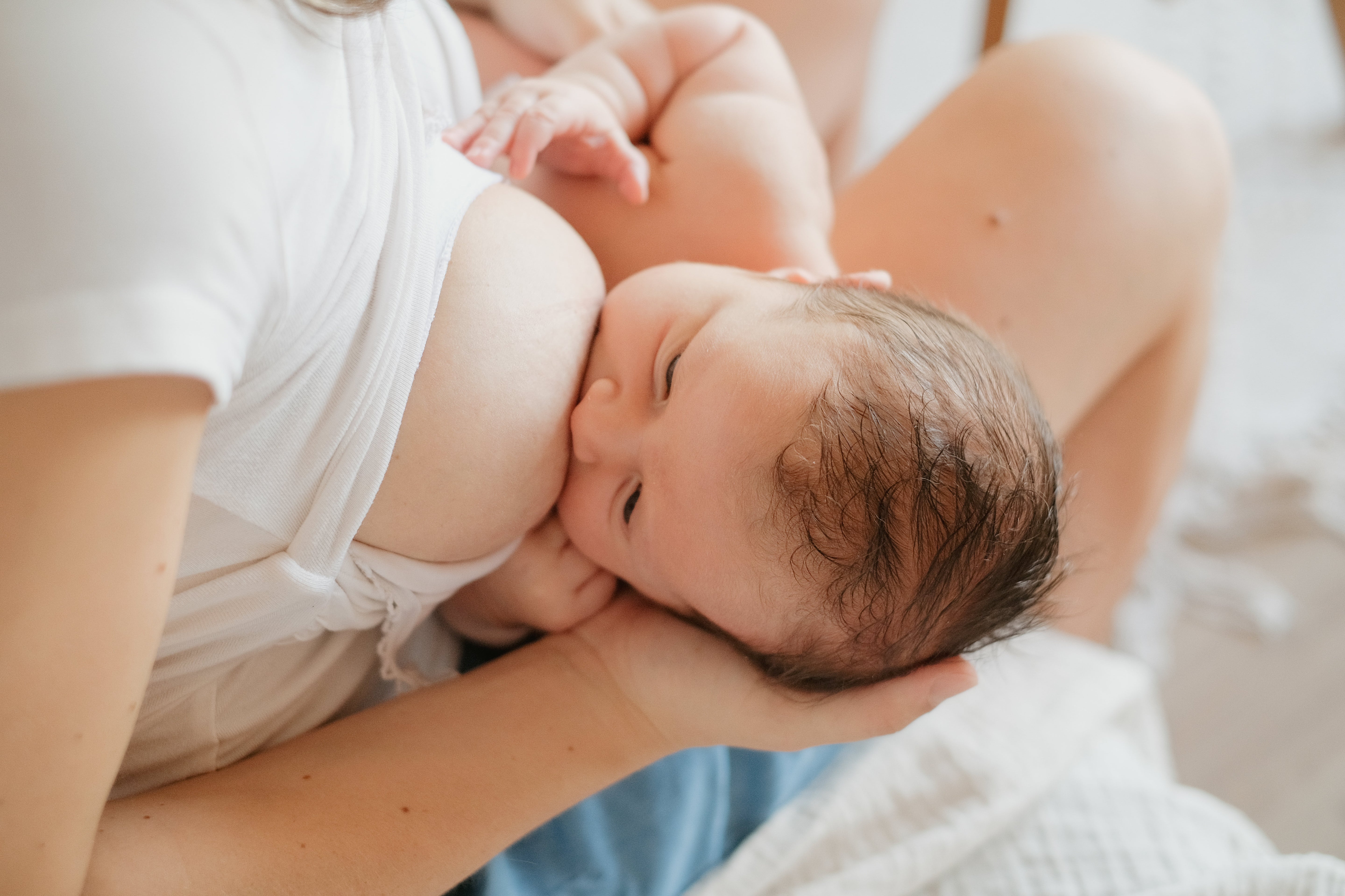 Huile Protect Mamelon