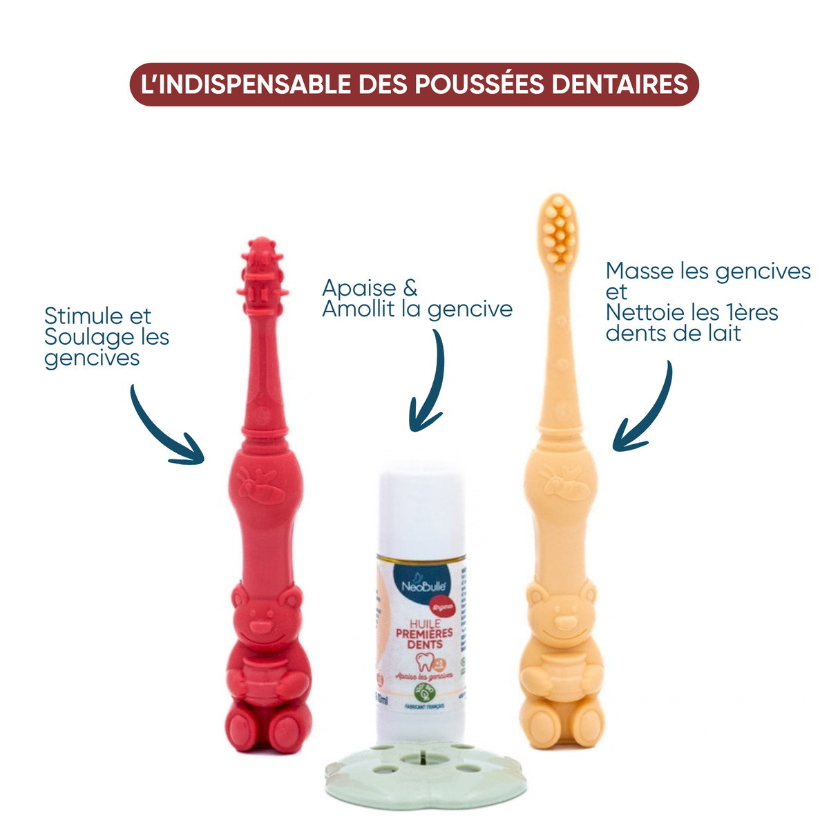 Kit éducatif poussée dentaire, bioseptyl