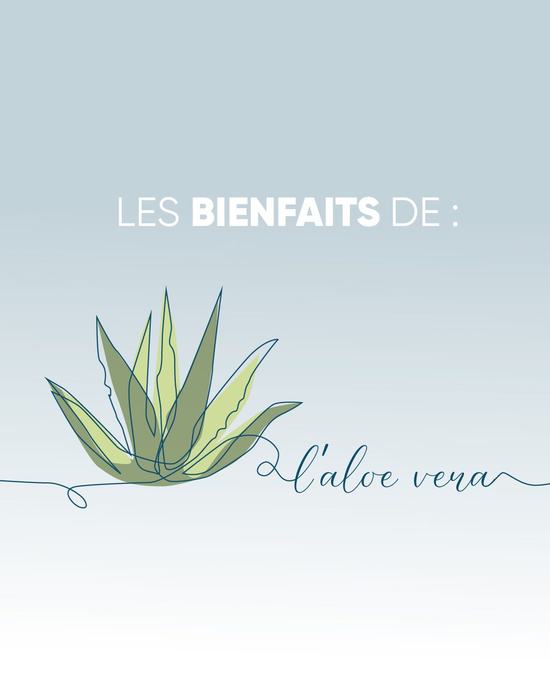 Les bienfaits de l'aloe vera pour toute la famille