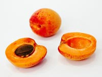 Ingrédient: Huile De Noyaux D Abricot Vierge