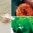 Ingrédient: Extrait De Borojo Et D Algue