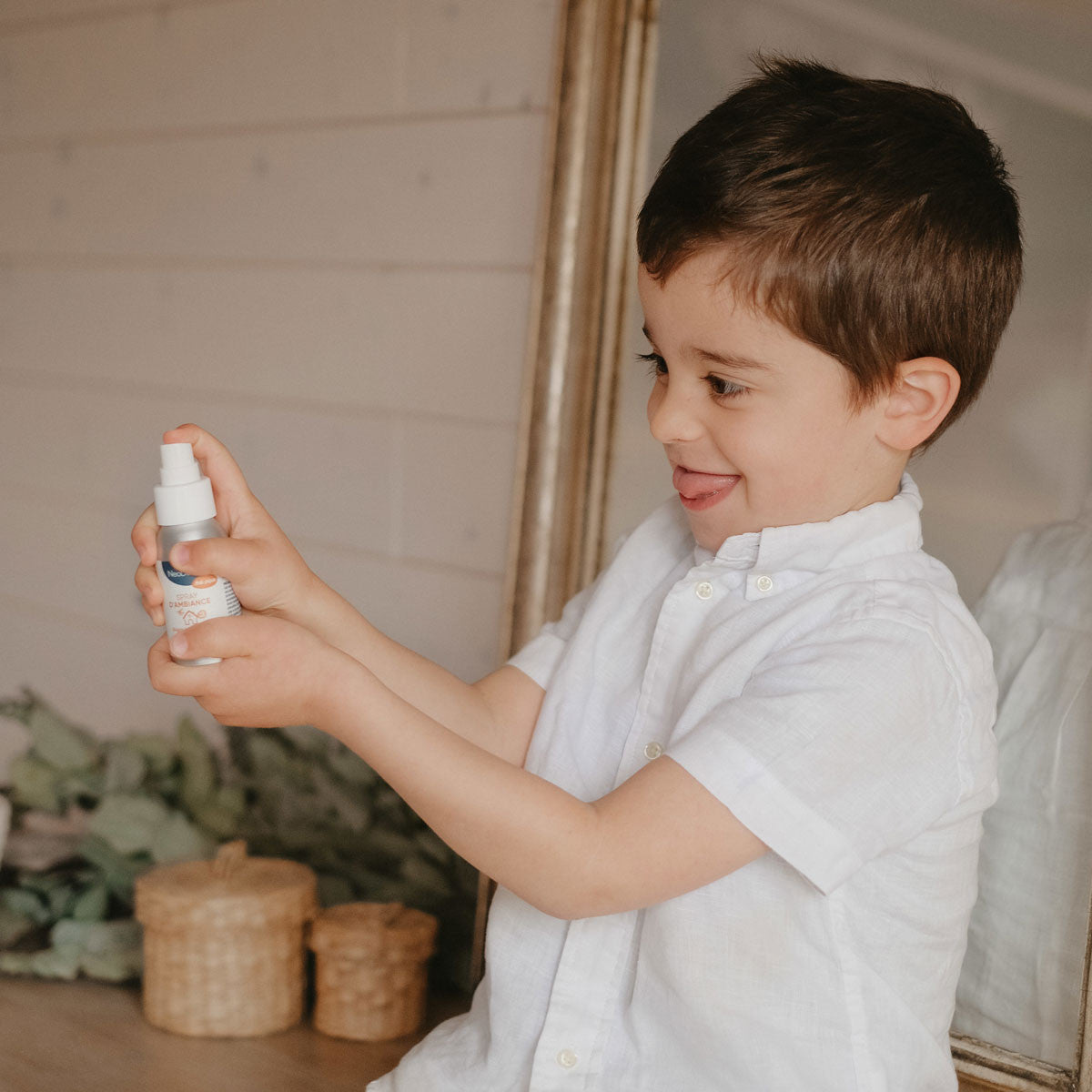 Spray d'ambiance Anti Pique